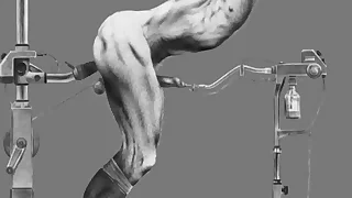 453 bdsm porn videos